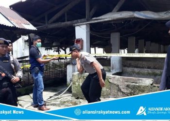 Ternak babi membuat warga resah