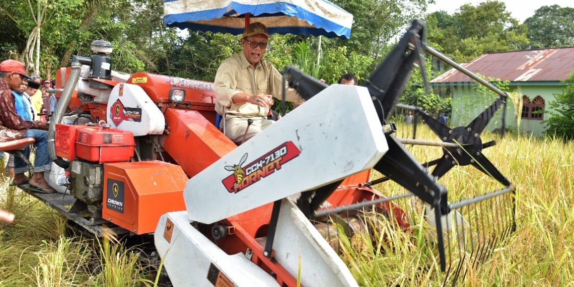 Bupati Panen Raya Di Pulau Tinggi