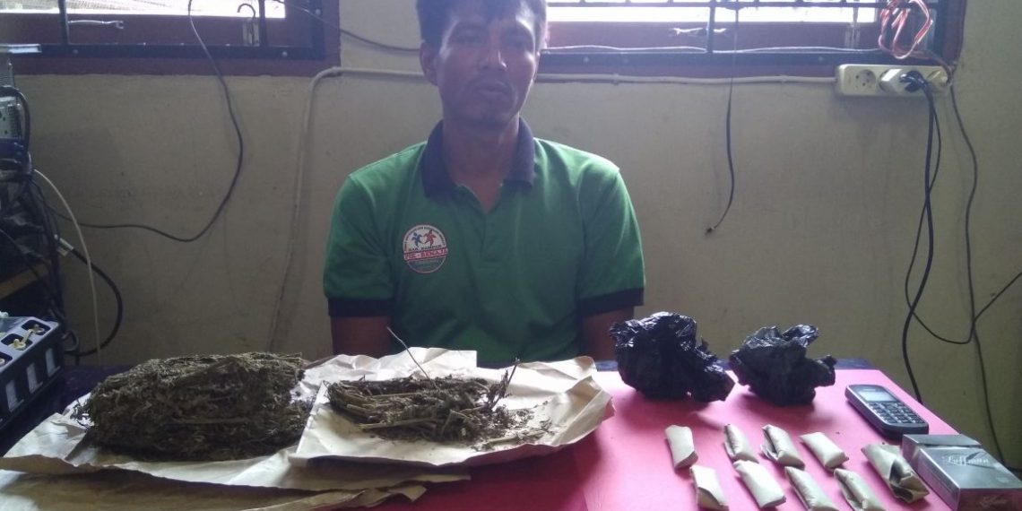 Sembunyikan Daun Ganja Kering dirumahnya, Seorang Warga Kualu Nenas Tambang diamankan Polisi