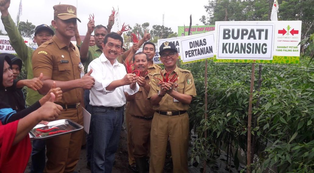 Bupati Kuansing Panen raya Cabai di Desa Benai kecil Kecamatan Benai