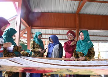 Belajar dari RAPP, Dekranasda Siap Kembangkan Batik Kampar