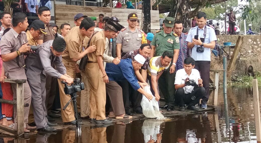 Dirjen Perikanan Budidaya Tabur 100.000 Benih Ikan Di Danau Bokuok