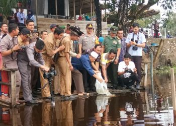 Dirjen Perikanan Budidaya Tabur 100.000 Benih Ikan Di Danau Bokuok