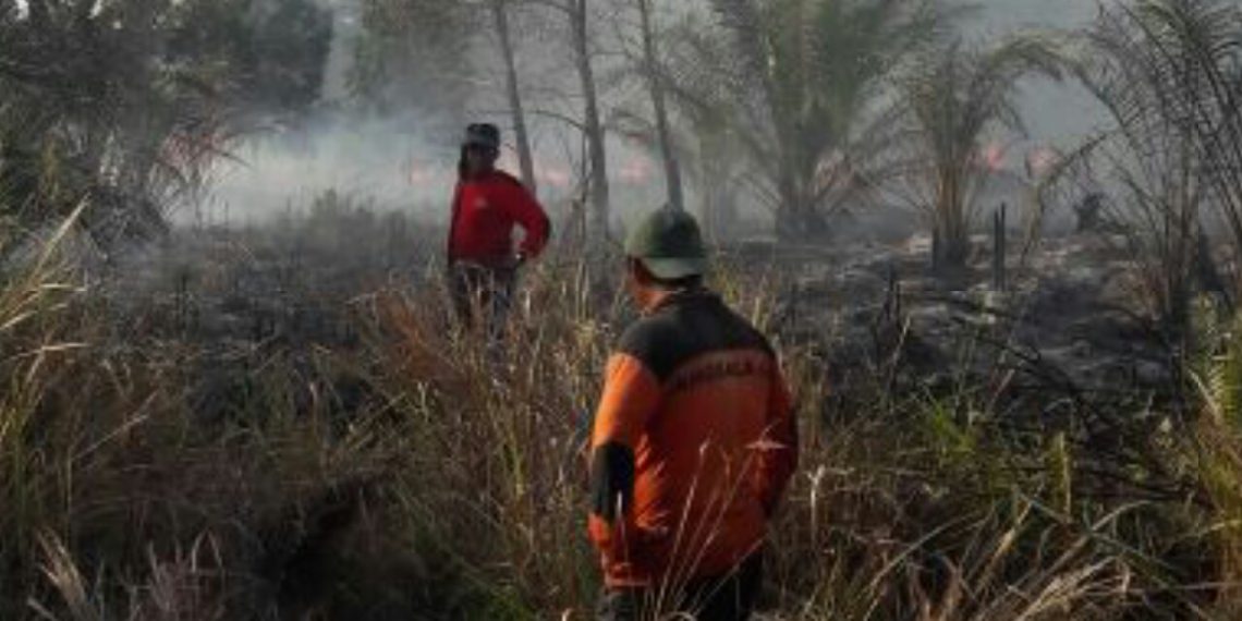Polsek Tapung Amankan Seorang Terduga Pelaku Pembakaran Lahan di Desa Karya Indah