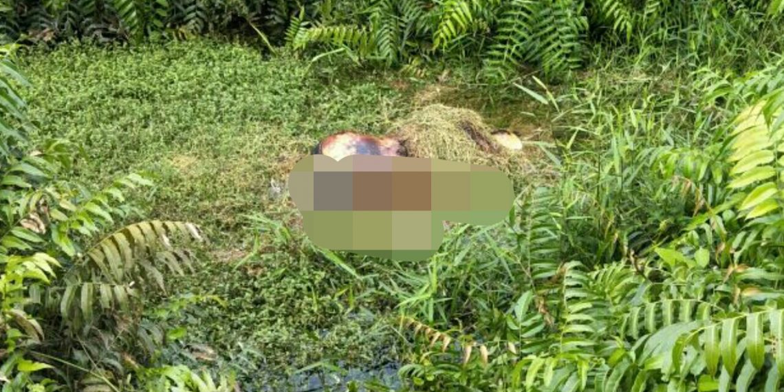 Jasad Tukang Sate Keliling Ditemukan Tewas Dalam Parit Gajah Desa Buluh Nipis Siak Hulu