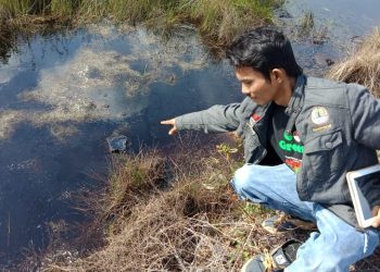 Diduga Bertahun Sudah Limbah Minyak Mentah Oli Milik Chevron Genangi Rawa Dilahan Warga