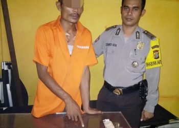 Polsek Tapung Hulu Ringkus Bandar Shabu Warga Desa Intan Jaya