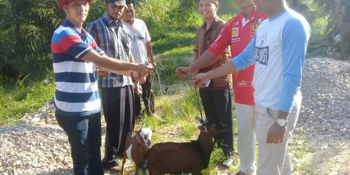 Kades M.Isyha, Untuk Meningkatkan Perdayaan Masyakat Berikan 30 Ekor Kambing Kepada Peternak Kambing