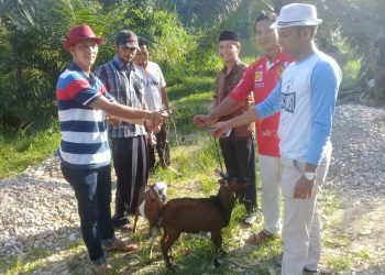 Kades M.Isyha, Untuk Meningkatkan Perdayaan Masyakat Berikan 30 Ekor Kambing Kepada Peternak Kambing