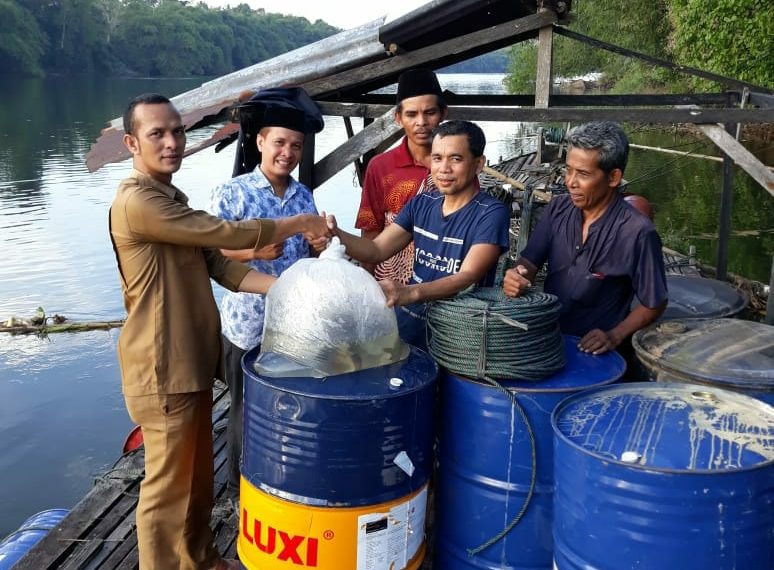Demi Tingkatkan Perekonomian Warga, Kades Pulau Jambu Bantu Petani Kerambah.