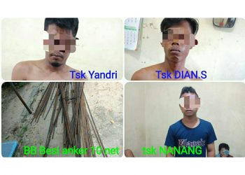 Tiga Orang Pelaku Curat Di Tangkap Polsek Siak Hulu
