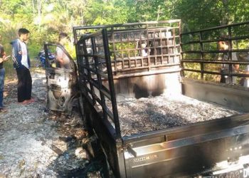 Maling Kerbau Tewas di Hajar Massa Mobilnya Hangus Terbakar