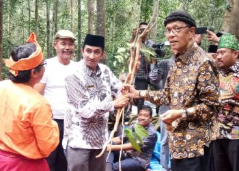 Kades Petapahan serahkan Dokumen usulan hutan adat kepada Bupati Kampar