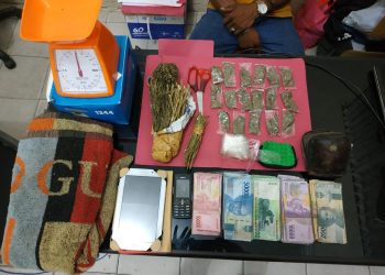 Bandar Daun Ganja Kering di Ringkus Satresnarkoba Polres Kampar