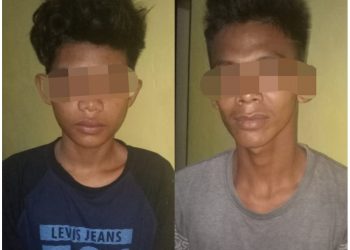 Polsek Tapung Tangkap 2 Pelaku Curanmor di wilayah SP 1 Desa Petapahan Jaya