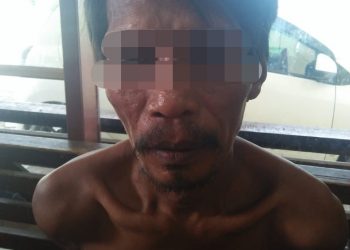 Cabuli Anak Dibawah Umur, Warga Desa Alam Panjang Kampar ini Ditangkap Polisi