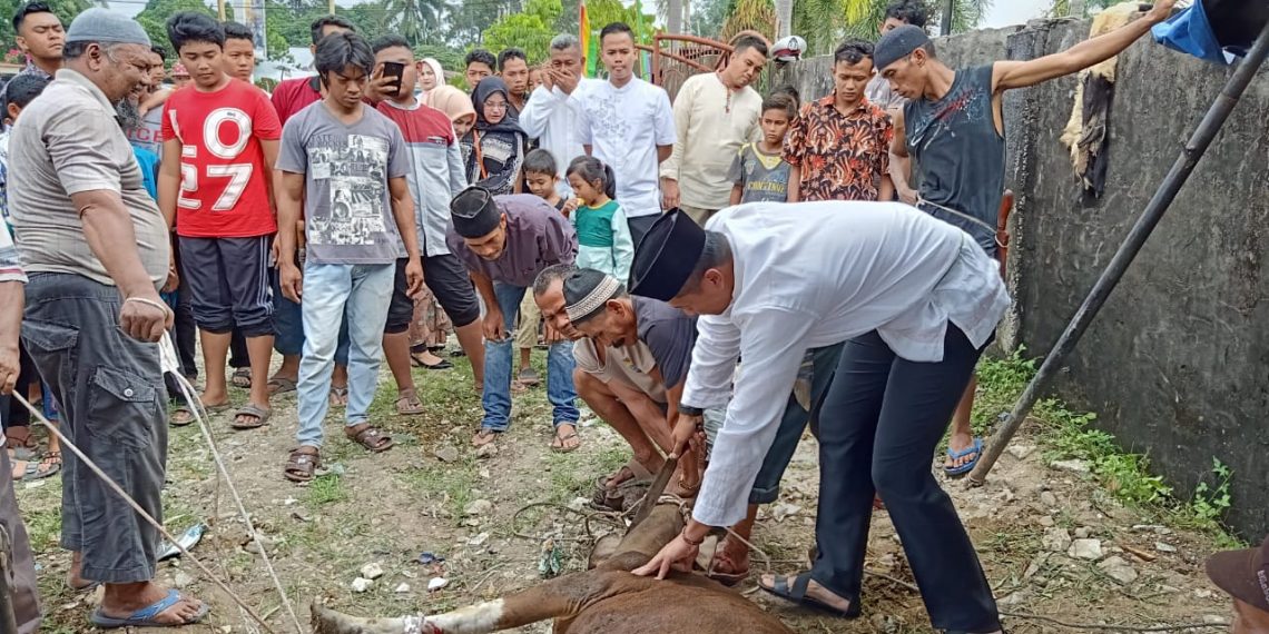 Kapolres Kampar Sembelih Sendiri Hewan Kurbannya