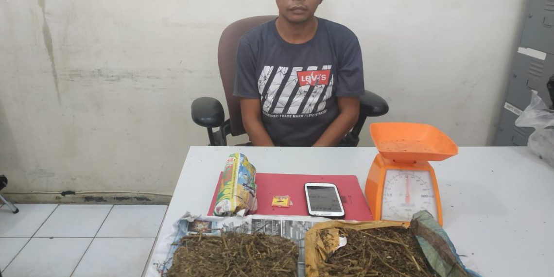 Jual Narkoba kepada Polisi yang Menyamar, Pelaku Ditangkap Resnarkoba Polres Kampar