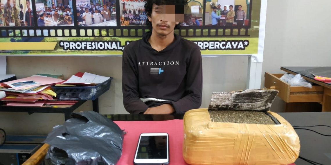 Resnarkoba Polres Kampar Tangkap Kurir Narkoba dengan 1 Kg Daun Ganja Kering