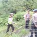Kapolres Kampar Sampaikan Himbauan Saat Tinjau TKP Laka Lantas di Jalan Lintas Riau Sumbar