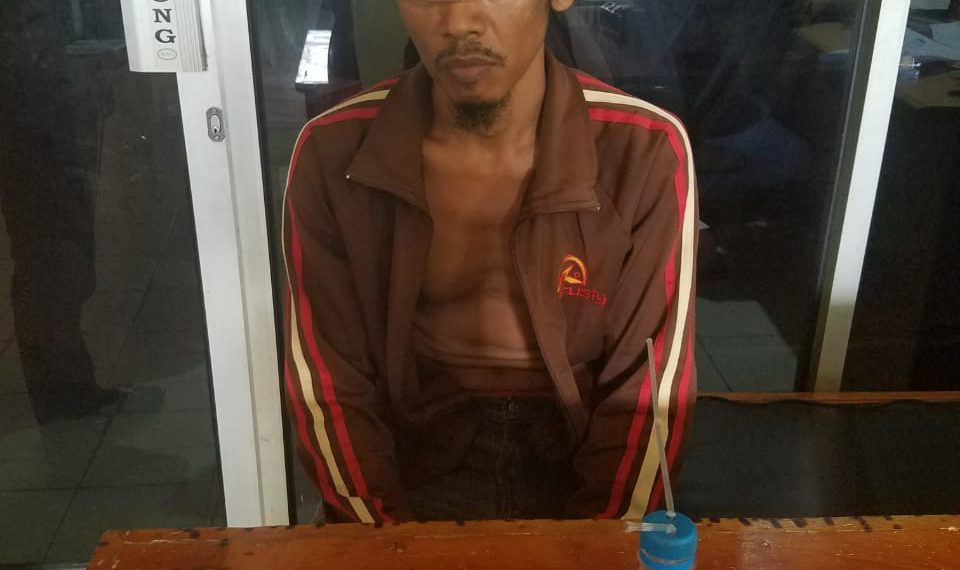 Unit Reskrim Polsek Tapung Tangkap Seorang Pelaku Narkoba di Desa Bencah Kelubi
