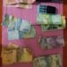 Serius Berantas Perjudian, 9 Pelaku Kembali Ditangkap Polsek Tapung di Desa Karya Indah