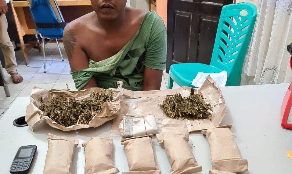 Resnarkoba Polres Kampar Tangkap 3 Pengedar Narkotika Daun Ganja Kering