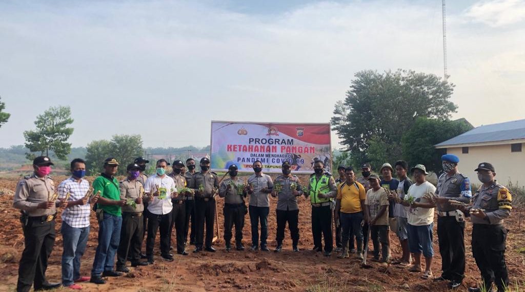 Polsek Tapung Hulu Galakkan Tanam Palawija, Dukung Ketahanan Pangan saat Pandemi Covid-19