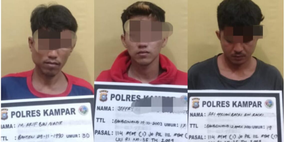 2 Kurir dan Seorang Pengedar Shabu Diringkus Resnarkoba Polres Kampar di Bangkinang