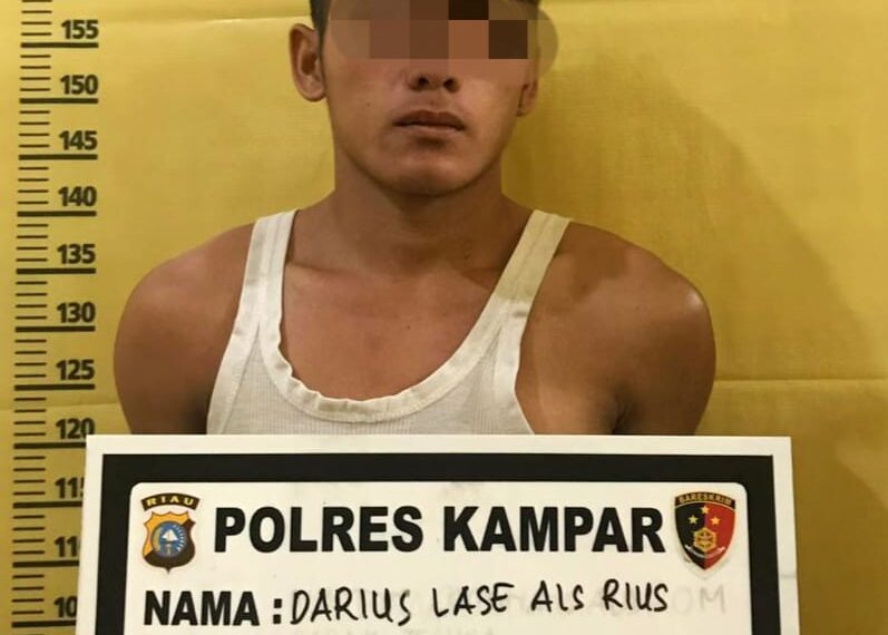 Larikan dan Cabuli Anak Gadis Dibawah Umur, Pelaku Ditangkap Reskrim Polres Kampar