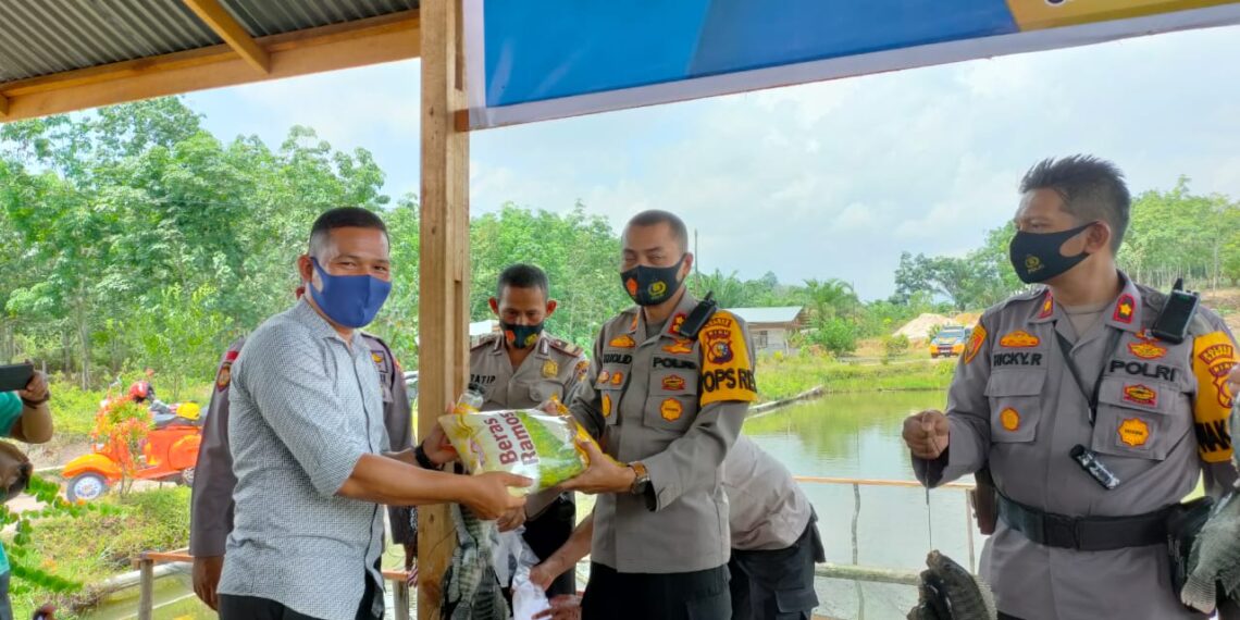 Kapolres Kampar Resmikan Panen Perdana Ternak Ikan Program Jaga Kampung yang Dikelola Anggotanya