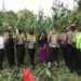 Kapolsek Bangkinang Barat Bersama Camat Kuok, Lakukan Panen Jagung Program Jaga Kampung Ketahanan Pangan