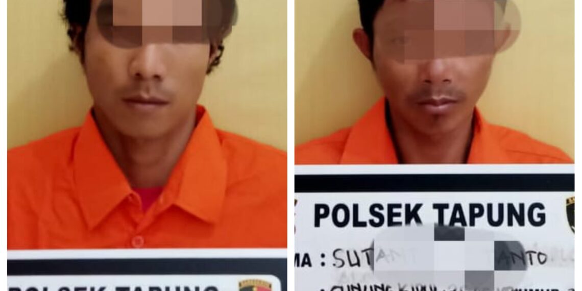 2 Orang Pengedar Narkoba Diamankan Polsek Tapung di Desa Sari Galuh