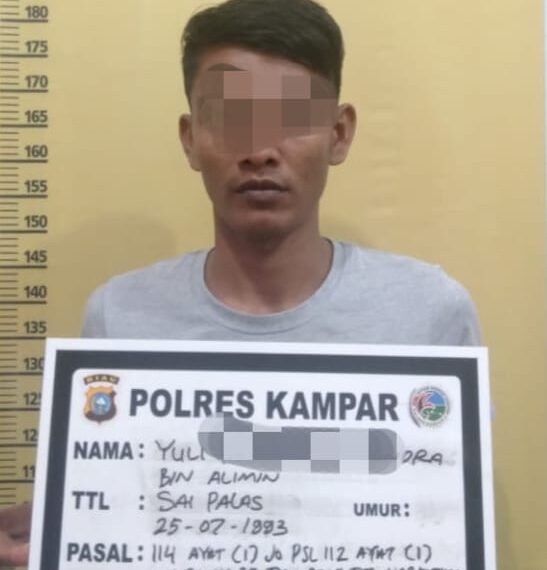 Lagi Seorang Pengedar Shabu Ditangkap Resnarkoba Polres Kampar di Desa Padang Mutung