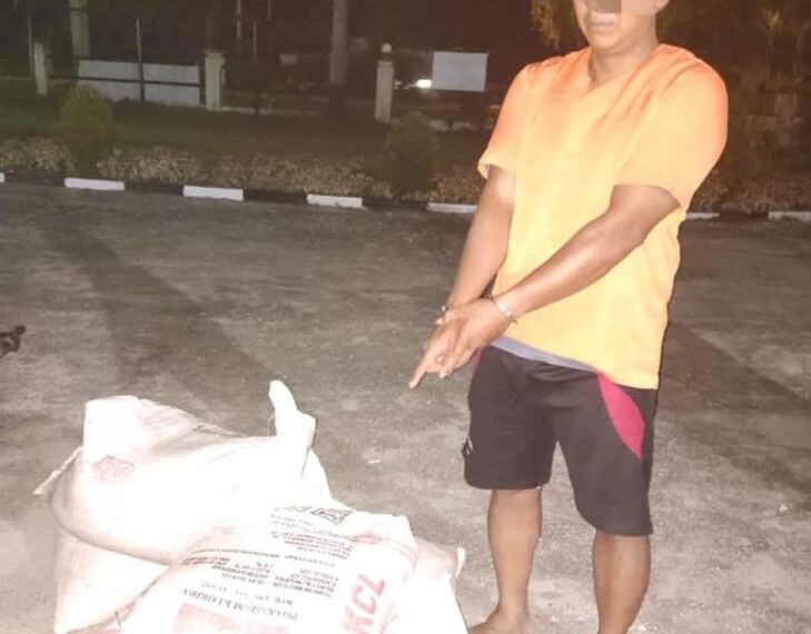 Gelapkan Pupuk, Karyawan PT. Bina Fitri Jaya Kepergok Satpam dan Diserahkan ke Polsek Tapung Hilir