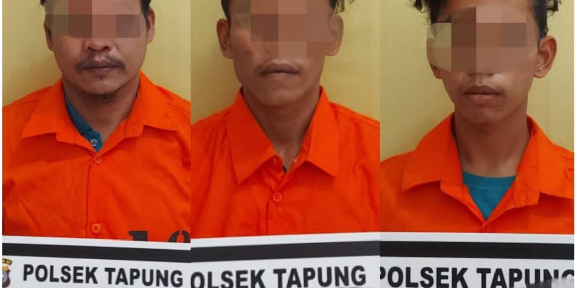 Polsek Tapung Amankan 3 Terduga Pelaku Pencurian TBS Milik PTPN-V Kebun Sei Garo