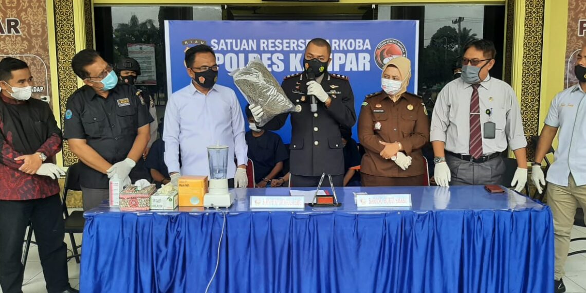 Polres Kampar Musnahkan Barang Bukti 125 Gram Shabu dan 1 Kg Lebih Daun Ganja Kering