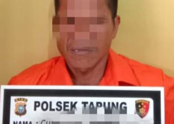 Tertangkap Tangan Nyuri Sawit, Seorang Pelaku dan 1 Unit Dump Truk Diamankan Polsek Tapung