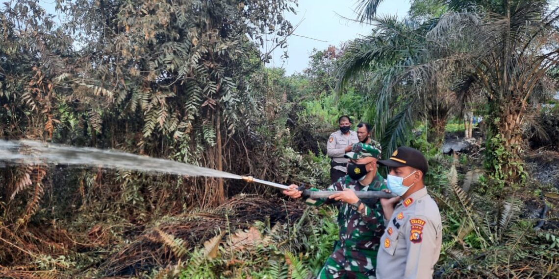 Kebakaran Lahan Sawit di Pandau Jaya, Kapolsek Siak Hulu Bersama Danramil Pimpin Pemadaman