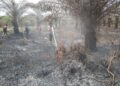 Temukan Kebakaran Lahan Saat Patroli, Bhabinkamtibmas dan MPA Karya Indah Lakukan Pemadaman