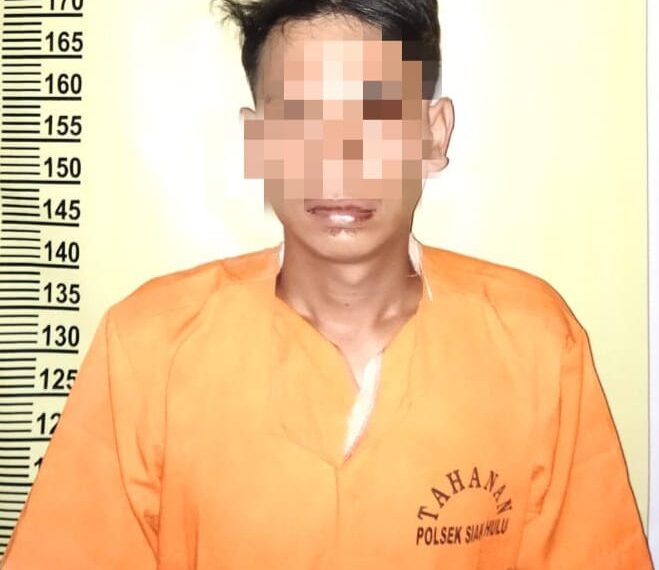 Ditanya Istrinya Karena Telat Pulang Malah Mukul, Pelaku KDRT ini Diamankan Polsek Siak Hulu