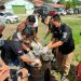 Polres Kampar Musnahkan Barang Bukti Narkotika Jenis Daun Ganja Kering Seberat 8,88 Kg