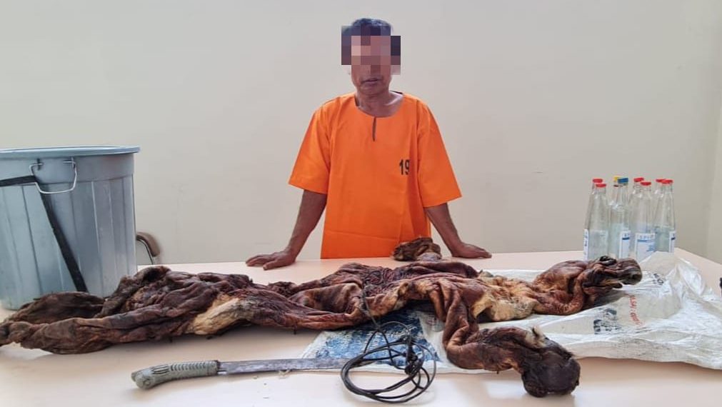 Ditreskrimsus Polda Riau Bersama BKSDA Gagalkan Perdagangan Kulit Harimau Sumatera