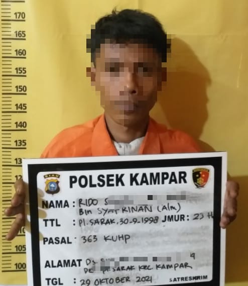 Baru Bebas Dari Penjara, Residivis Ini Kembali Ditangkap Polsek Kampar Dalam Kasus Pencurian