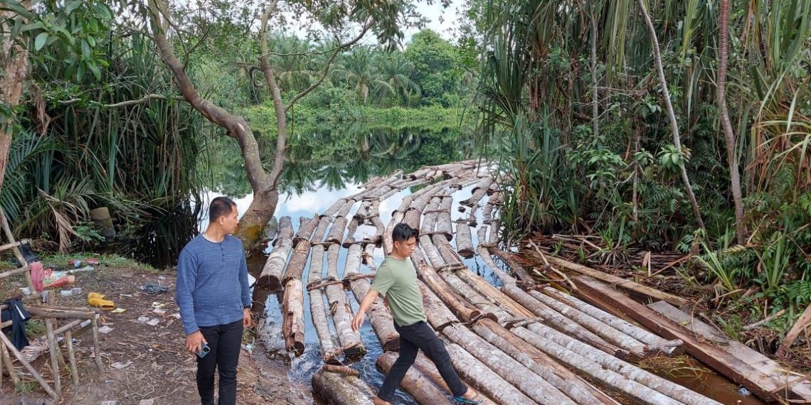 Tim Ditkrimsus Polda Riau Amankan Ratusan Tual Kayu Illegal Logging di Siak Kecil Bengkalis