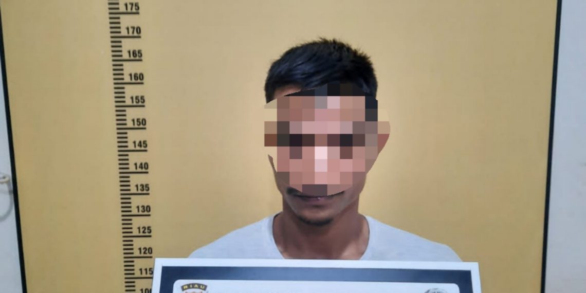 Lagi lagi Resnarkoba Polres Kampar Tangkap Pengedar Shabu di Dusun II Lubuk Agung.