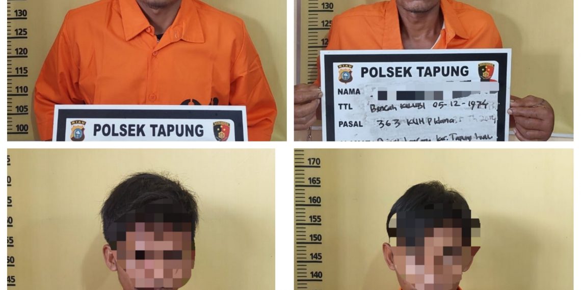 4 Tersangka Pencuri Hewan Ternak Sapi Diamankan Unit Reskrim Polsek Tapung