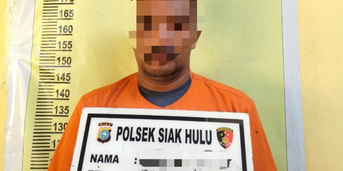Polsek Siak Hulu tangkap Satu Orang Pelaku Curat