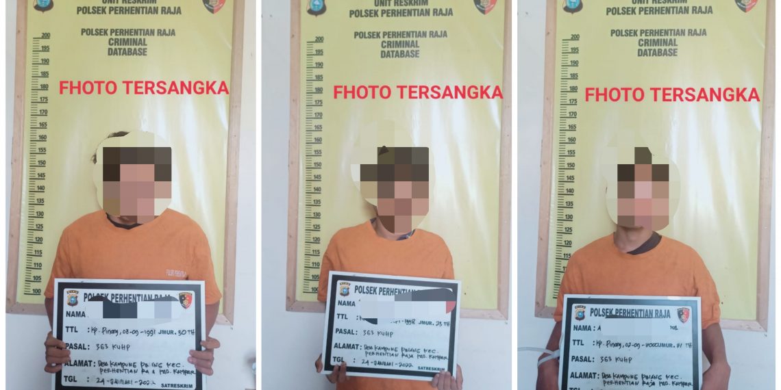 Tertangkap Tangan Nyuri Sawit Milik CV. MJS, Pelaku Diamankan Polsek Perhentian Raja