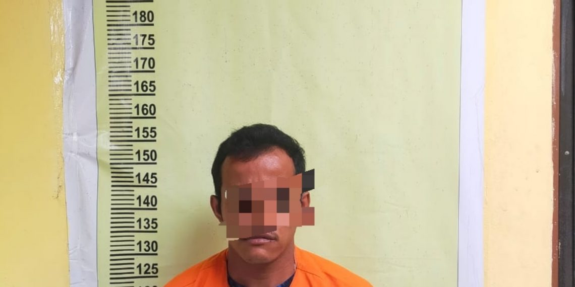 Unit Reskrim Polsek Siak Hulu Tangkap Pengedar Sabu di Pondok Kebun Sawit